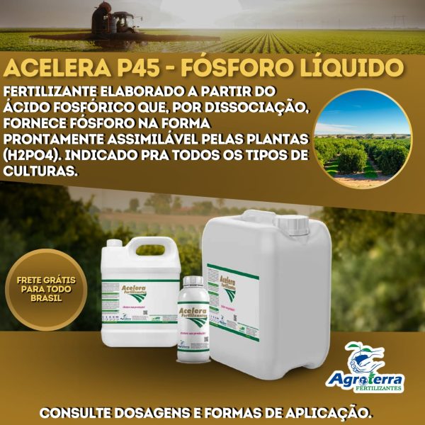 Fósforo liquido Acelera P45*