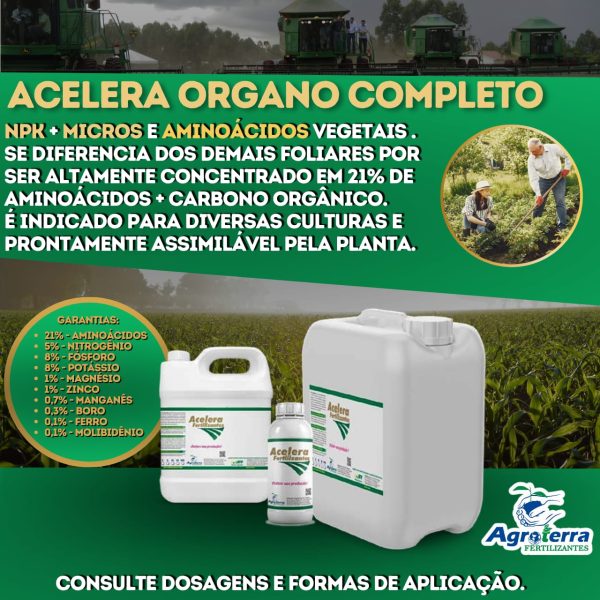 Acelera Organo Completo*