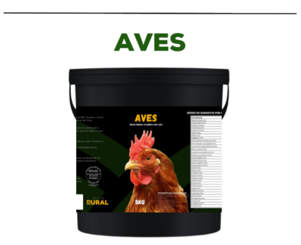 Aves