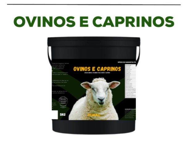 Ovinos e Caprinos*