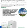 Acelera Magnésio Mag 08 - Image 2